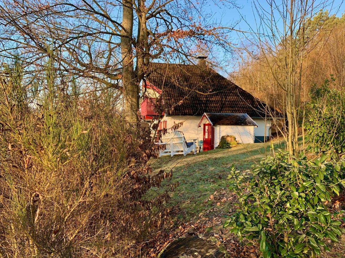 Idylle Seepark - Haus Mit Pool Und Fasssauna Kirchheim  Luaran gambar